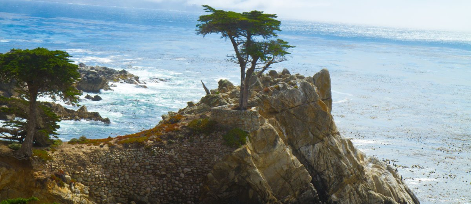 Sightseeing Attractions in Monterey, CA