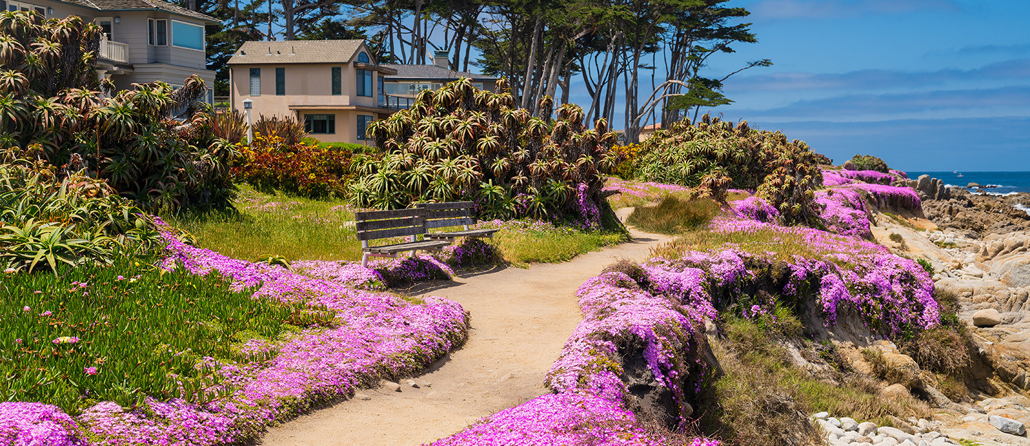 Explore Local Gems Right Outside Our Doors