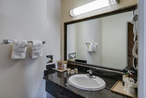 Private Guest Bathroom
