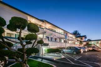 Arbor Inn Monterey - Lush Landscaping